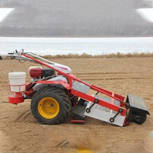 出口俄罗斯海边垃圾清理机 手扶式沙滩卫生清扫车 汽油式清洁车