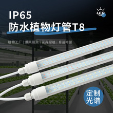 T8��ˮһ�w����������M��������ˮ���߲ˑ���NֲIP65ֲ��led��