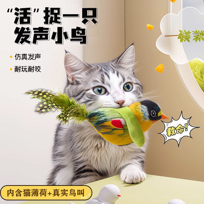 新しいタイプの猫のおもちゃの音の羽の小鳥の幼猫はかじって猫の棒をからかいます。|undefined