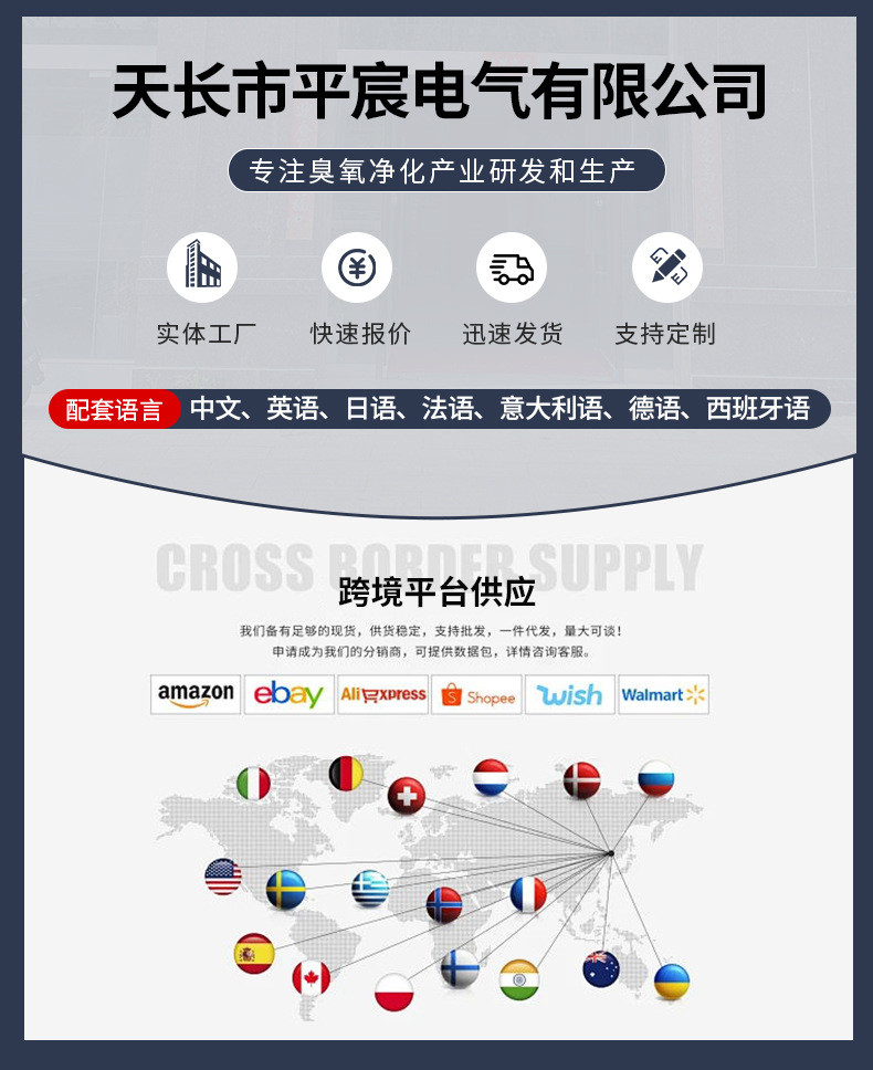 天长市平宸电气有限公司-模板_01