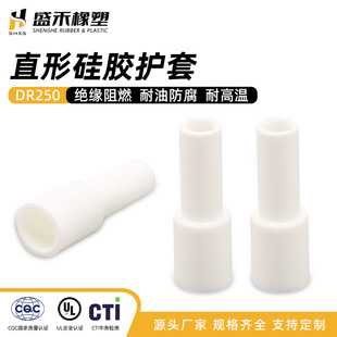 ���l����DR250ֱ�ι��z�o���׹��Ɵ�z750��늾��o�^�����o