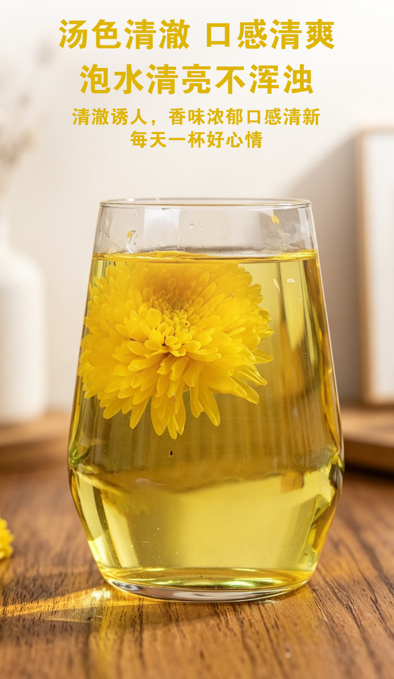 Golden Silk Imperial Chrysanthemum Tea (Chrysanthemum morifolium) — Premium Dried Flower Herbal Tea preparation