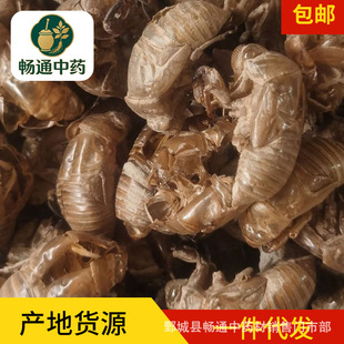 ���l��ș���s͑��Ʒ�s�¸��NҎ���؛���l���s��֪�˚����Ϻ�