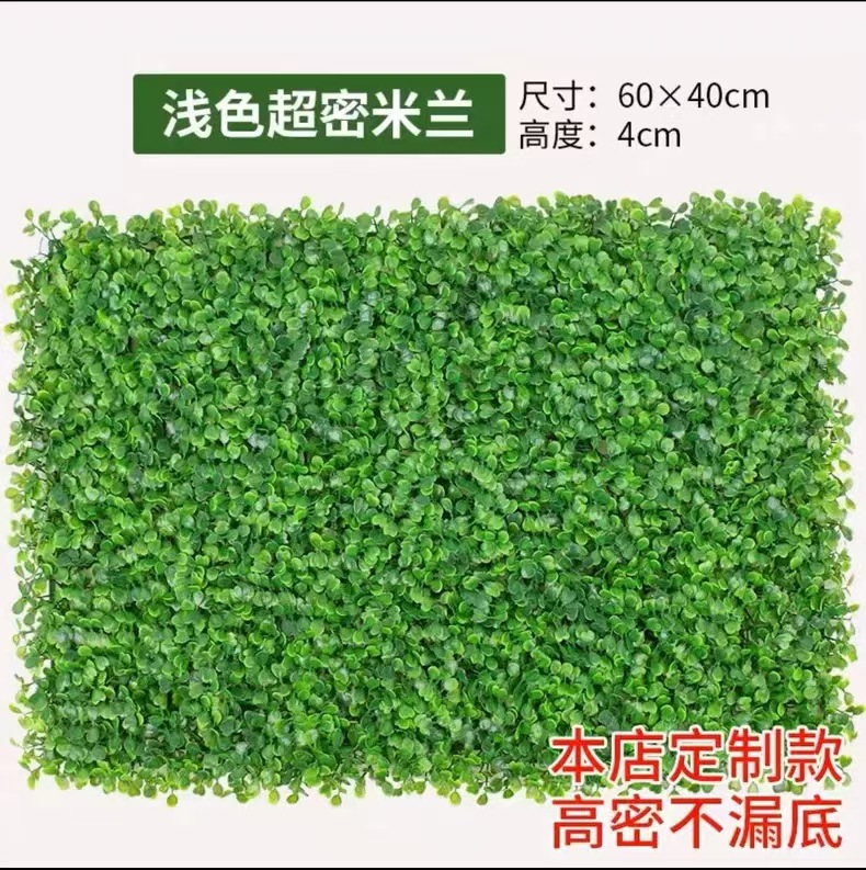 Super dense shallow milan