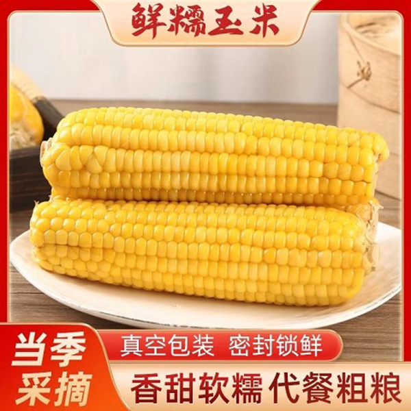 【代发】东北黄糯玉米粗粮苞米新鲜即食代餐大棒甜糯玉米真空包装|undefined