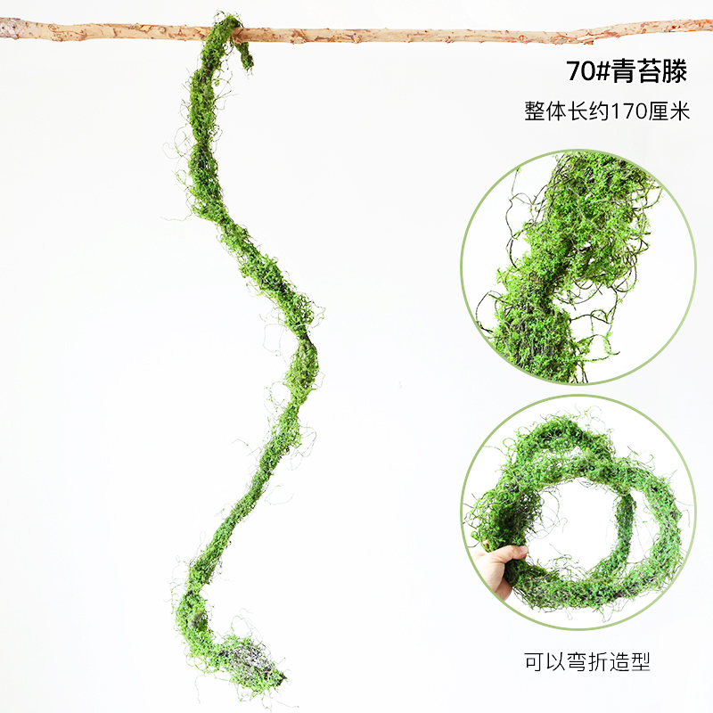 70# Moss Teng-dry branches