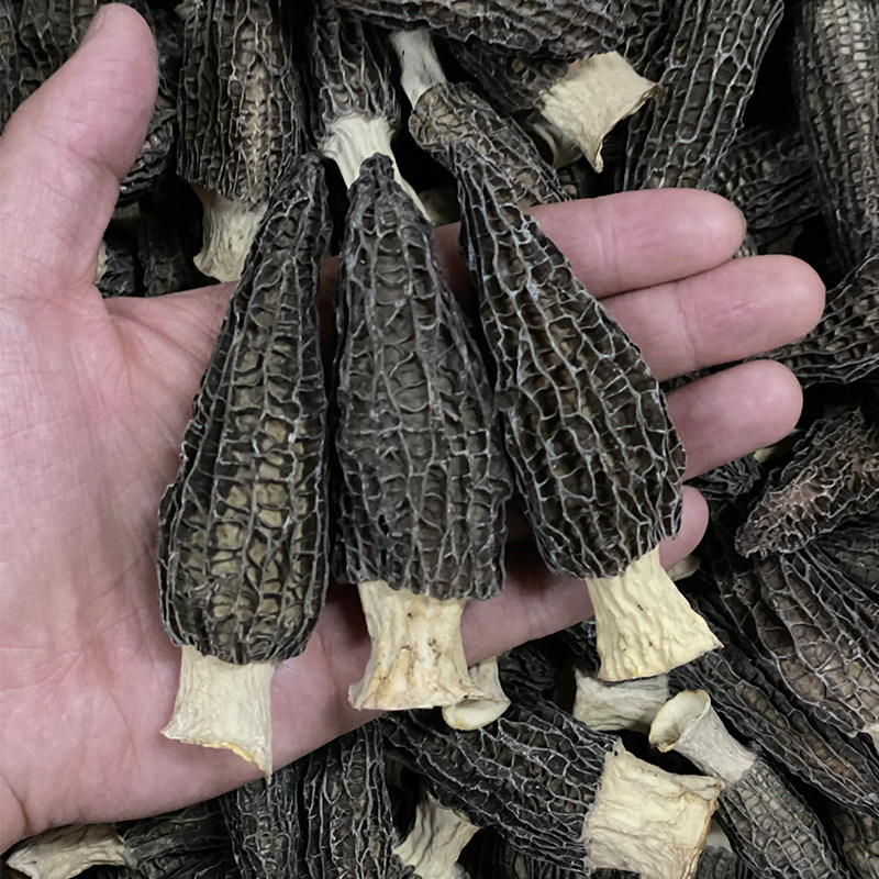 Dried Morel Mushroom 500g Yunnan Premium Grade 7-9cm Soup Ingredient specifications