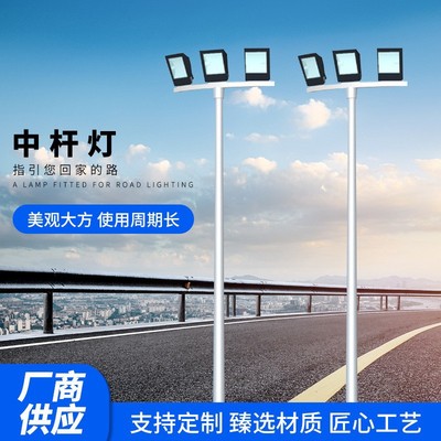 outdoor Lighting Higher prices led street lamp wholesale Road lights Manufacturer Road lights Lampposts