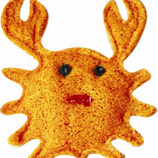 Loofah, toy, pet, anti-stress