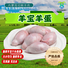 �����r�����������������������������ʳ����غ��������