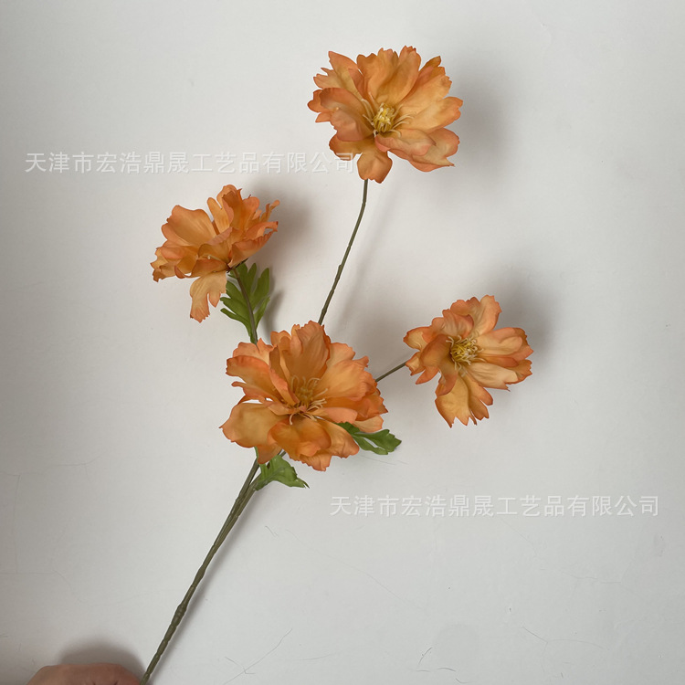微信图片_202211251406197_副本