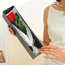 儿童读物;社科生活;四件套