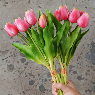 �͹ŷ���ܛ�z7�^�̗U�������Y����������Ӽ��bٻ��zӰ����