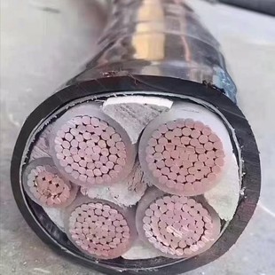 �͉���ȼ�͟��o�u��|��̖Ҏ���Rȫ����YJV�~о��|�����̌���