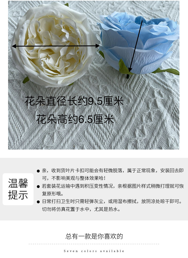 奥斯汀玫瑰花_06.jpg