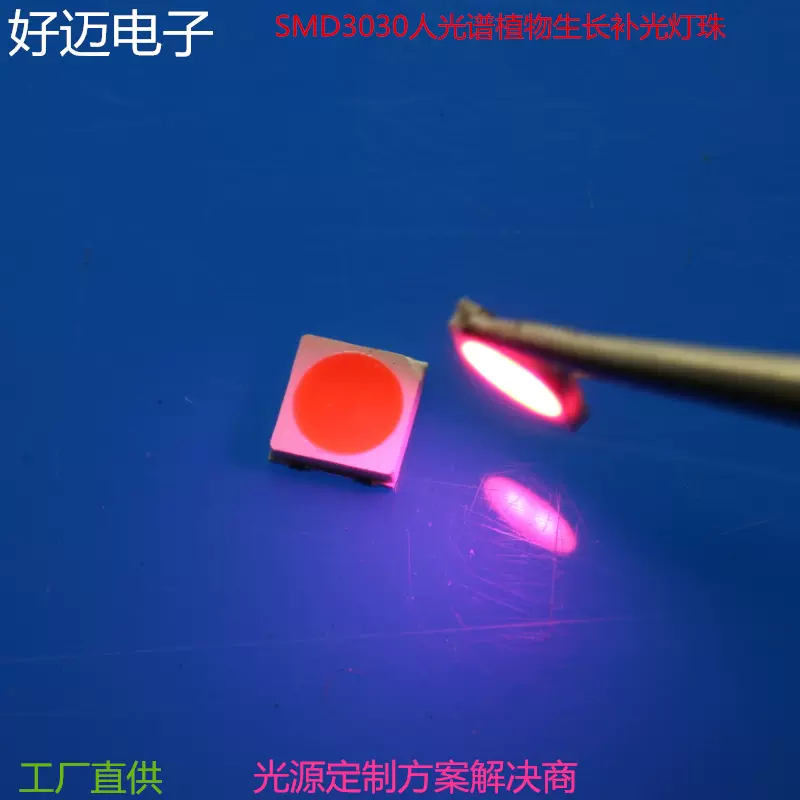 LED3030贴片全光谱植物补光灯珠种植药材led1W6v反季节蔬菜灯珠