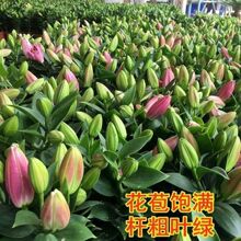 ��ˮ�ٺϻ��r�����Ԏ������ļ��_���̨ͥԺ����ֲ���҃Ȼ�����B