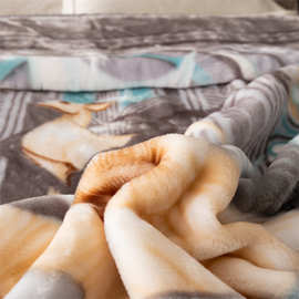 批发毛毯被子加厚冬季双层保暖珊瑚绒床单双人毯子拉舍尔云毯婚庆