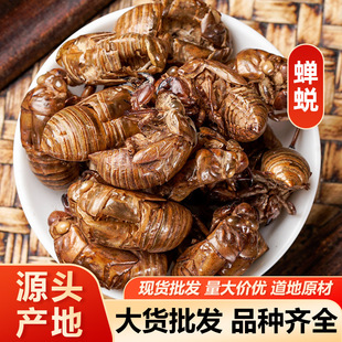 �s͑ ֪��Ƥ�s��ˮϴ�s͑��ș���s͑���]��ĥ�ۮa��؛Դ����ă�