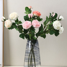 �m�𷻷���3�^�ָб�������õ�廨 �Ҿӿ͏d�b����Լٻ�����õ��