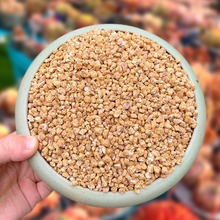 黄金软质麦饭石园艺种植多肉盆栽水处理麦饭石硬水过滤麦饭石颗粒