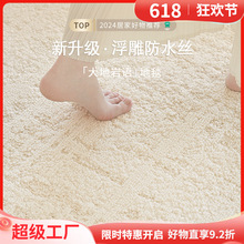 地毯客厅2026新款硅藻丝防水防污轻奢高级茶几沙发毯免洗可擦地垫