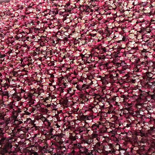  new arrival pepper wholesale Hancheng Dahongpao Wudu phoenix pepper Hanyuan Maowen peppercorn hot pot base seasoning