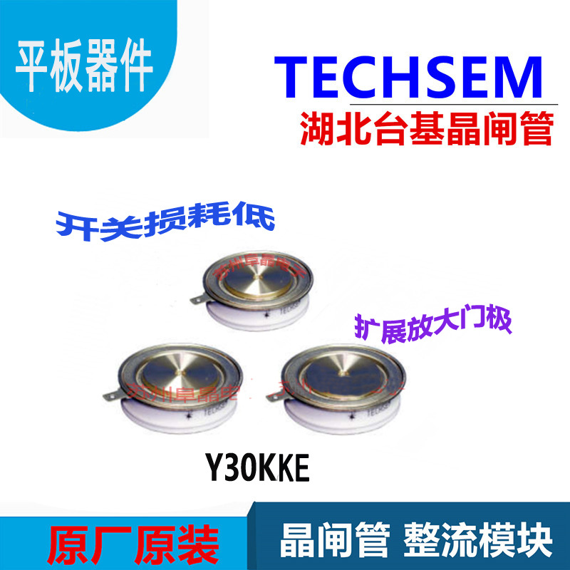 TECHSEM台基晶闸管Y30KKE KK300A可控硅KK300A1200  1400 1600V