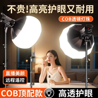锐富图 120W直播补光灯摄影灯主播美颜柔光灯打光拍照球形直播灯