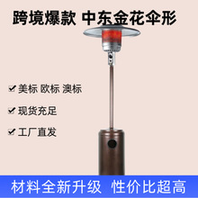厂家特价酒吧金花伞形远红外加热液化气取暖器家用采暖炉取暖炉