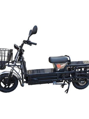 Elektrikli motosikletlər Plate, Electric Motorcycle 60V/72V for