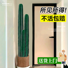 ������������Gֲ���������ƴ���ֲ���҃ȿ͏d��ض��ⵓֲ���B��