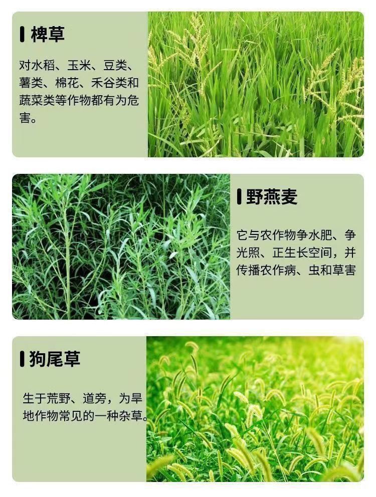 aa9f32c0-093c-46ff-add0-0cdc940cb91f.jpe