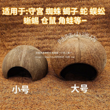 ��ȻҬ������،m����֩����ϐ�ӂ}������ܶ����x��Ҭ�Ӛ���Ѩ