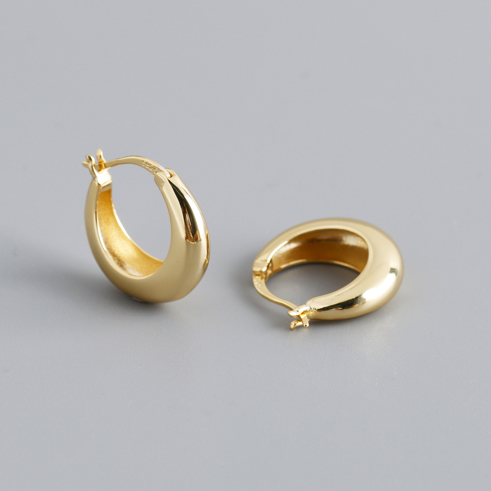 Fashion Circle Sterling Silver Plating Earrings 1 Pair