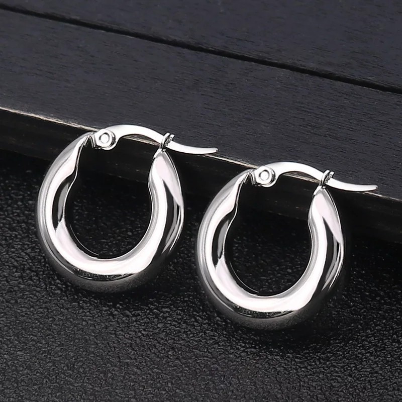 1 Pair Simple Style Solid Color Plating Stainless Steel Earrings display picture 4