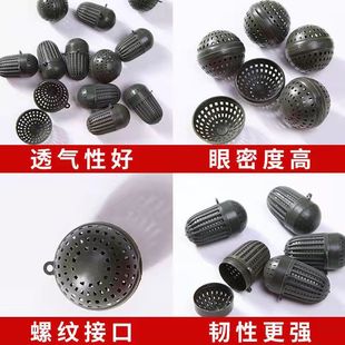 �T�D�� �~�D�� �D���� �������� �O�W�O���~�D �r�\