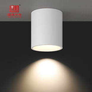 110V30W American and Canada Hot-Selling Led Downlight Surface Installation Hoisting Barrel Light