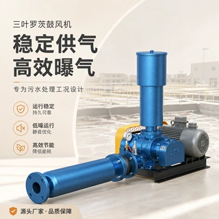 三叶罗茨鼓风机源头厂家生化池化工生活食品废水处理专用设备
