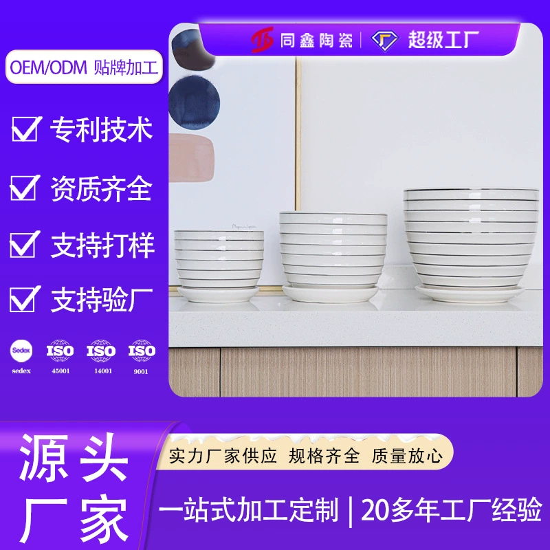 Dehua мясистый цветочный горшок творческий персонализированный большой диаметр Горшечное растение офисный Рабочий стол зеленая Роза Завод керамический цветочный горшок