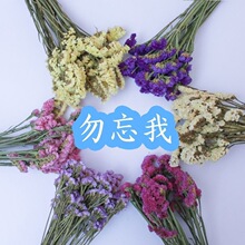 勿忘我永生干花花束云南永生花厂家干花配材直发云南干花勿忘我鲜