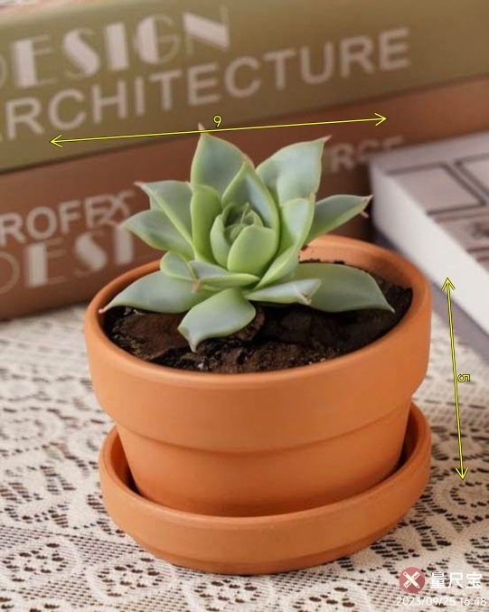 赤い陶器の植木鉢、吸水性、通気性、根腐れしない粘土トレイ、浮遊粘土ポット、大型の緑の植物多肉植物ポット|undefined