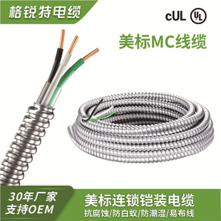 �������ٰ�����|MC��|14/2 12/2���~���w늾��X�z�bBX늾�