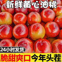 现货黄心油桃5斤桃子应季当季新鲜水果整箱黄肉超甜脆桃10包邮D