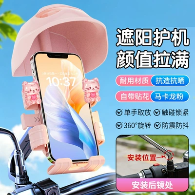Bicycle Mount, Shock-Absorbing Fixed — Motosiklet ləvazimatları və aksesuarları - qx12-pink-rear-mirror-holder-love-microphone-pink-hat
