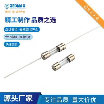 瑞迈直供REOMAX工厂 TBC2100 T10AL250V 5*20 双帽引脚 保险丝