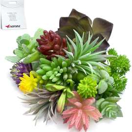 植绒绿色组合系列仿真多肉植物花头创意DIY用品植物墙配件仿真花