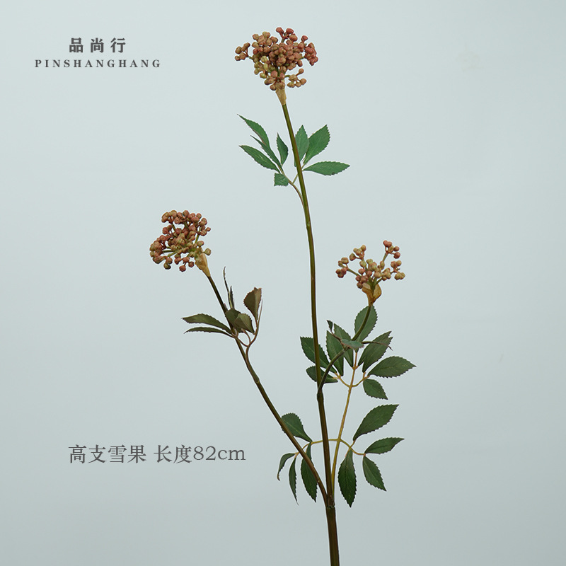 밝은 갈색