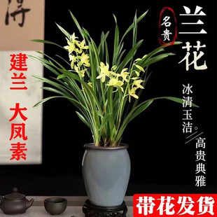 �ļ��m���m���P�؎������_���������҃Ȼ����m����͏dƷ�N���F