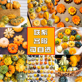 ī������ż�f�}���^�p��ɫ���J��������b���[�PС�ϹϮ���